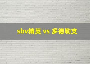 sbv精英 vs 多德勒支